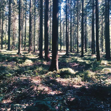 Castle Roc Bed & Breakfast