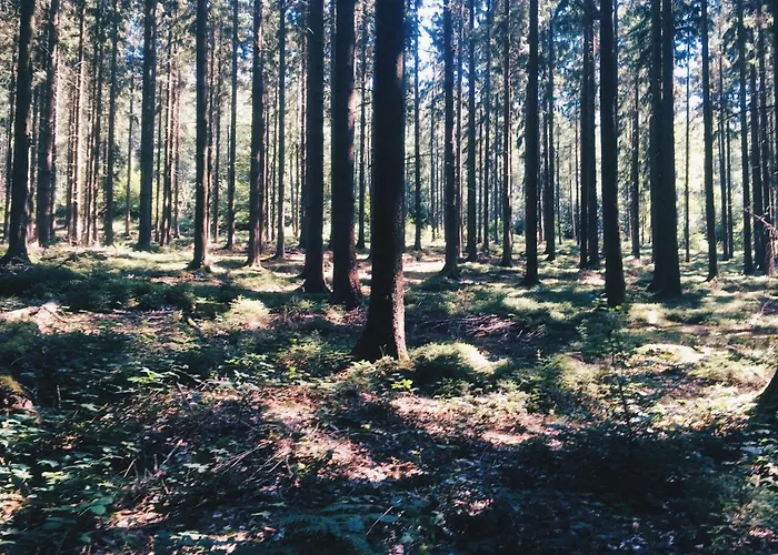 Castle Roc Bed & Breakfast